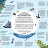 פאזל 1000 חלקים - אוקיינוסים פראיים