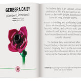 לגו ערכה להרכבה - 95 חלקים - זר פרחים