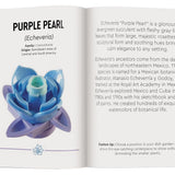 לגו ערכה להרכבה - 54 חלקים - סוקלנטים