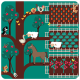 אוהל  pop up אסם