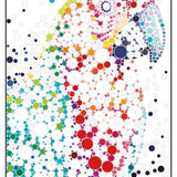 חוברת מדבקות לפי מספרים - חיות בר