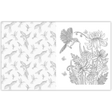 חוברת צביעה - ציפורים ופרפרים