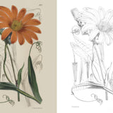 ספר צביעה - הגנים הבוטניים המלכותיים