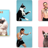 משחק זיכרון - חתול ובעליו