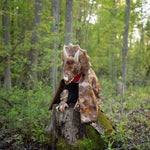 56805LS11_1_73144faa-b87a-4d23-a877-d7b00b2cce28_2000x