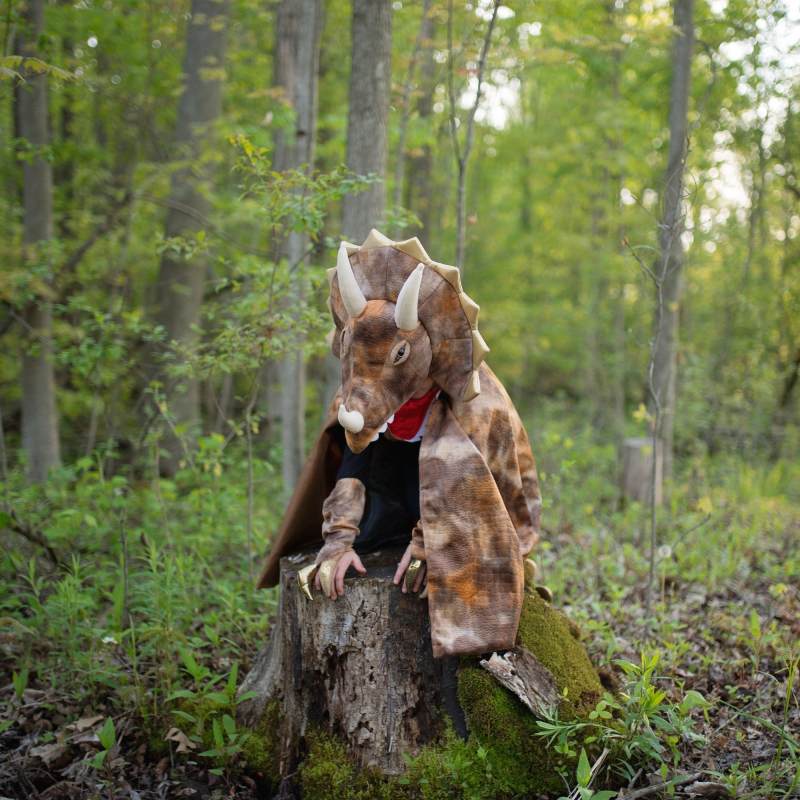 56805LS11_1_73144faa-b87a-4d23-a877-d7b00b2cce28_2000x