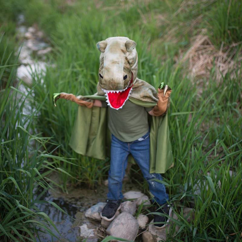 56885LS12_1_b4ec387d-bf8a-481f-9239-788ba334b2c6_1024x1024