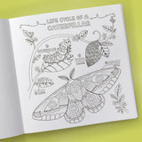 ספר צביעה - מה יש בגינה?