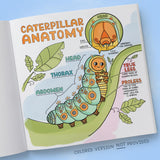 ספר צביעה - מה יש בגינה?