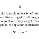 חוברת צביעה לפי אותיות - יפן