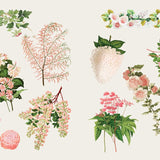 ספר מדבקות - אוצר המדבקות פרחים ופרפרים