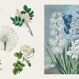 ספר מדבקות - אוצר המדבקות פרחים ופרפרים