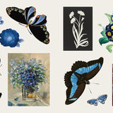 ספר מדבקות - אוצר המדבקות פרחים ופרפרים