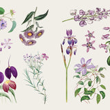 ספר מדבקות - אוצר המדבקות פרחים ופרפרים