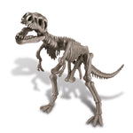 ארכיאולוגיה - דינוזאור T-REX 2