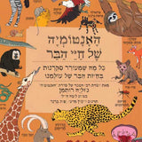 האנטומיה-של-חיי-הבר1