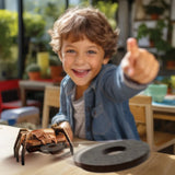 רובוטיקה לילדים - רובוט עכביש משגר דיסקים