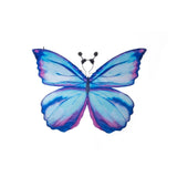 תחפושת - כנפי פרפר אגדי ומחושים