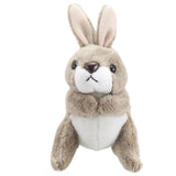 בובת אצבע - ארנב