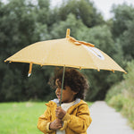Raincoat_lion_007_1