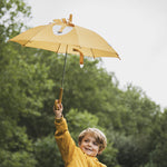 Raincoat_lion_010_1