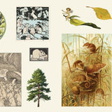 ספר מדבקות - אוצר המדבקות הרפתקאות ביער