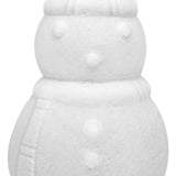 ערכת משחק סנסורי בשלג - SMART SNOW