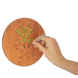 ריקמה על עץ - חרקים