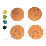 ריקמה על עץ - חרקים