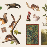 ספר מדבקות - אוצר המדבקות הרפתקאות ביער