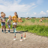 קליעה למטרה ציפורים