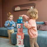 מגדל קוביות - חיות ומספרים