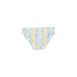 rainbow-bikini-pant-back