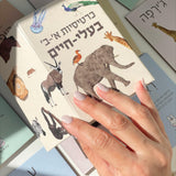 כרטיסיות חיות א'-ב'
